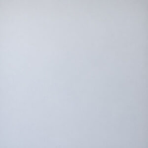 Seamless light gray studio backdrop
